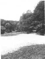 Scan_Aug_15_2000-6.jpg (21634 bytes)